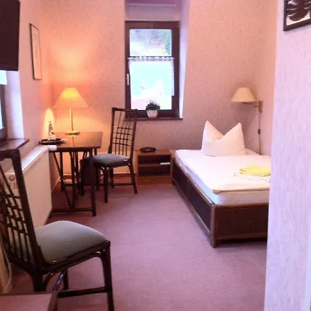 Zur Hallenburg Hotel 3*