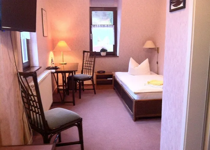 Zur Hallenburg Otel 3*