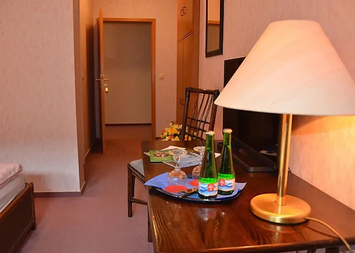 호텔 Zur Hallenburg