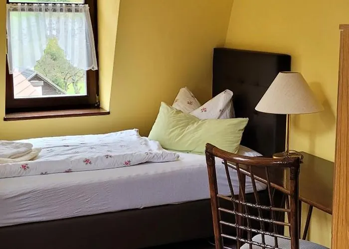 Zur Hallenburg 3* Kurort Steinbach-Hallenberg