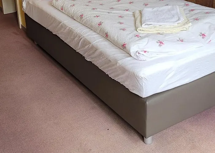 Otel Zur Hallenburg Kurort Steinbach-Hallenberg