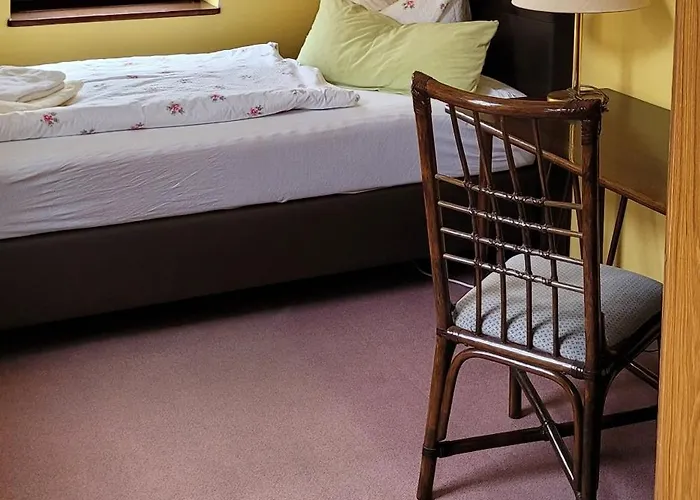 Zur Hallenburg Otel 3*