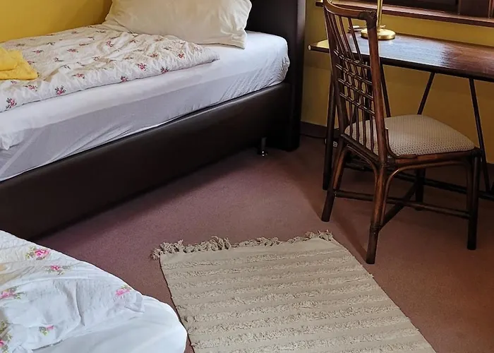 Zur Hallenburg Otel 3*